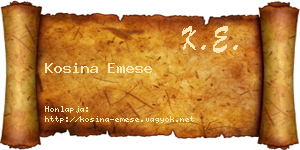 Kosina Emese névjegykártya
